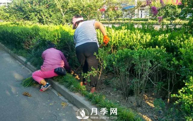 人喊“熱” 花草樹木也中暑 看我們大南陽(yáng)如何抗旱防澇(圖1)