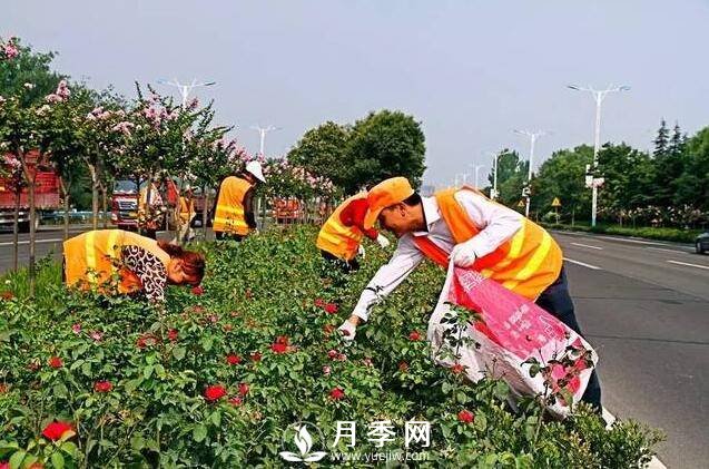 人喊“熱” 花草樹木也中暑 看我們大南陽(yáng)如何抗旱防澇(圖2)