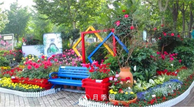 鄭州市2015年第二十一屆月季花展景觀(圖6)