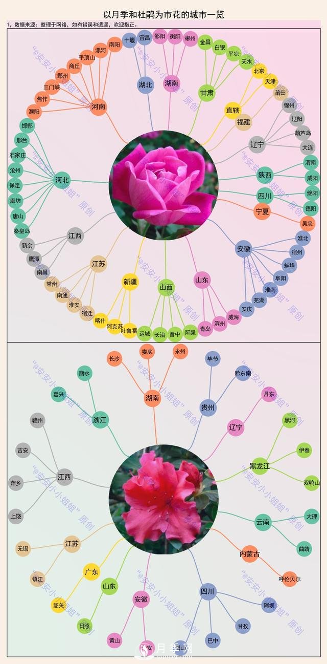 市樹市花地圖：月季、杜鵑、香樟、國槐(圖1)