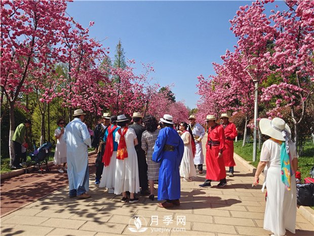 定位為月季主題公園，昆明呈貢區(qū)將集中打造彩云公園(圖1)