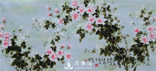 “月季花濕法畫法**人”王躍進廈門辦專題月季展(圖1)