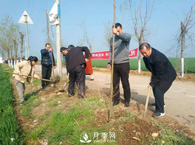 南陽宛城：高廟鎮(zhèn)植樹造林扮靚鄉(xiāng)村(圖2)