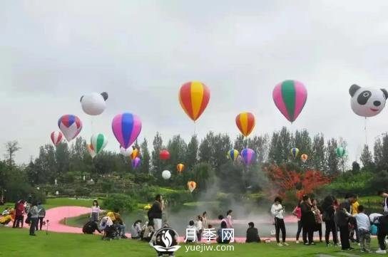 四川南充月季花海迎來1000㎡粉色沙灘，4月3日浪漫迎客(圖8)