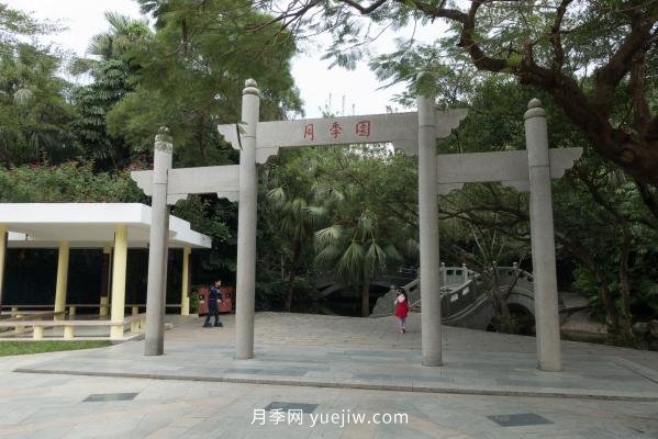 深圳人民公園要打造世界一流月季園(圖1)