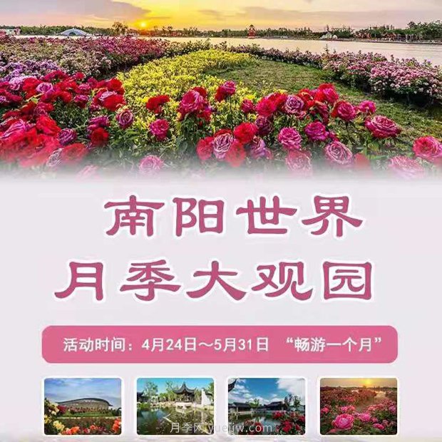 第十二屆南陽(yáng)月季花會(huì)4月29日開幕，活動(dòng)豐富多彩(圖1)