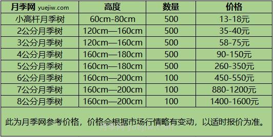 1-10公分月季樹(shù)價(jià)格是多少？樹(shù)狀月季5月報(bào)價(jià)單！(圖1)