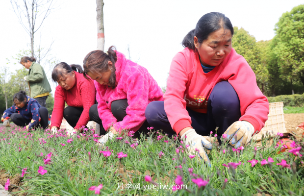 南陽(yáng)梅城公園再添新景觀(圖2)