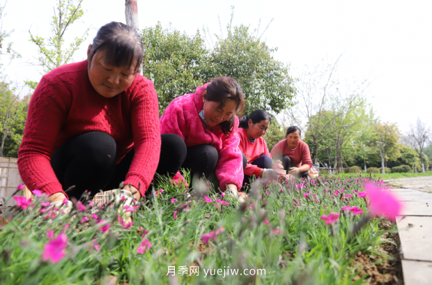 南陽(yáng)梅城公園再添新景觀(圖1)