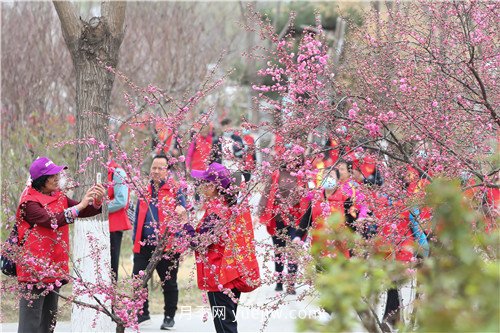 北京大興區(qū)“走進(jìn)魏善莊 相約月季花開”徒步活動(dòng)成功舉辦(圖3)