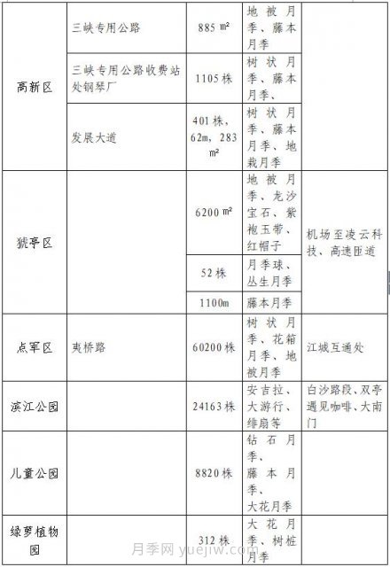 四月盛放的月季時間，湖北宜昌給你的專屬浪漫花園(圖10)