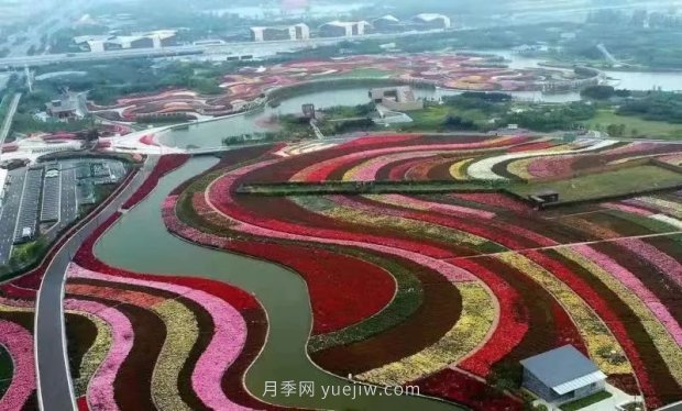 第十二屆南陽月季花會(huì)4月29日開幕，花事活動(dòng)提前報(bào)(圖1)