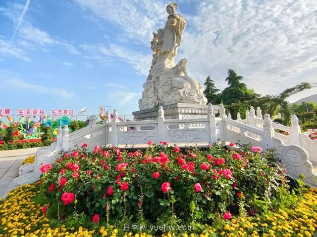 南陽月季博覽園，6月份全月免門票！(圖2)