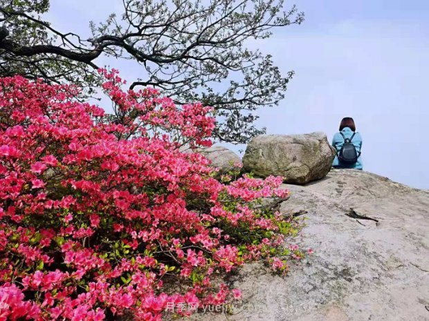 南陽桐柏：紅綠旅游總相宜(圖2)