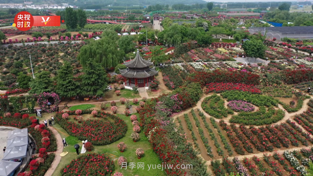 共享生態(tài)美景 助推鄉(xiāng)村振興——走進南陽月季博覽園(圖2)