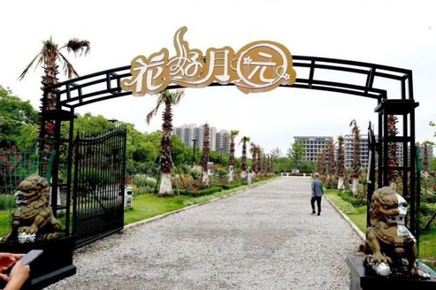 上海閔行區(qū)花好月園公園，萬株月季怒放快來品(圖1)