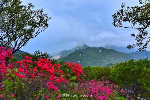 桐柏縣，淮河之源 坐標桐柏山(圖1)