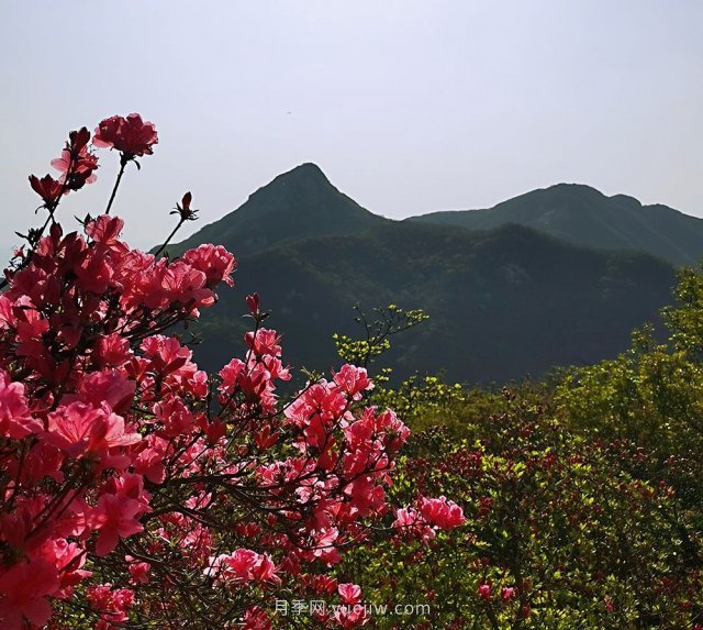 桐柏縣，淮河之源 坐標桐柏山(圖2)