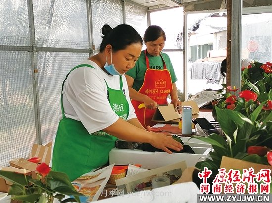 永城市高莊鎮(zhèn)發(fā)展花卉苗木產(chǎn)業(yè) 年產(chǎn)值億元以上(圖1)