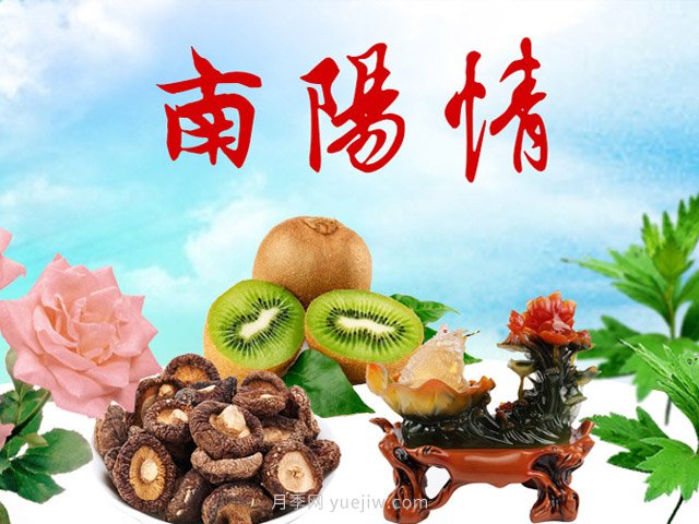 適合農(nóng)村養(yǎng)殖不愁銷路的8個返鄉(xiāng)創(chuàng)業(yè)好項目目(圖1)