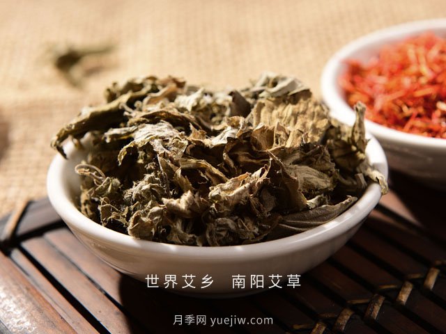 宛艾！南陽艾草產(chǎn)業(yè)志在出圈，怎借東風(fēng)成就世界艾鄉(xiāng)？(圖2)