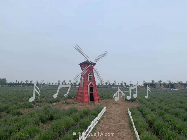 聊城芳香文化博覽園，鄉(xiāng)村振興巾幗示范基地(圖3)