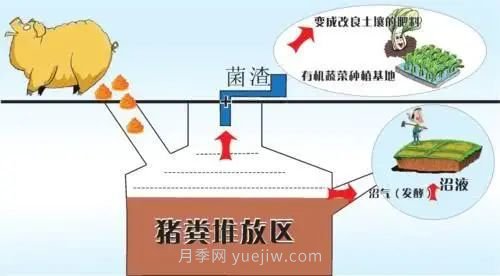 中國生態(tài)農(nóng)業(yè)的主要模式(圖2)