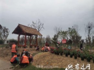 醉美泗陽(yáng)，月季花海，第十一屆中國(guó)月季展覽會(huì)4月28日開幕