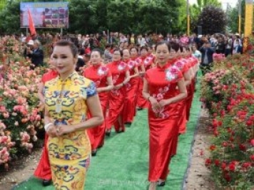 西安鄠邑區(qū)首屆月季花節(jié)開幕，爭奇斗艷迎賓客