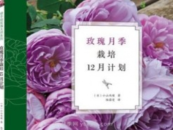 月季圖書：小山內(nèi)健《玫瑰月季栽培12月計(jì)劃》