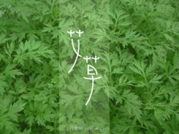 宛艾！南陽艾草產(chǎn)業(yè)志在出圈，怎借東風(fēng)成就世界艾鄉(xiāng)？