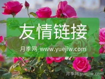 月季網(wǎng)友情鏈接