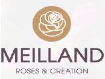 月季育種家：法國玫昂國際月季公司(Meilland)