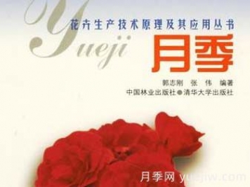 月季圖書：郭志剛《月季:花卉生產(chǎn)技術(shù)原理及其應(yīng)用叢書 》