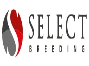 月季育種家：荷蘭Select Breeding