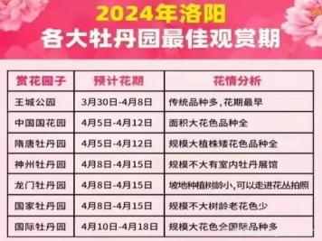 2024年洛陽牡丹絢爛綻放，誰與爭鋒？