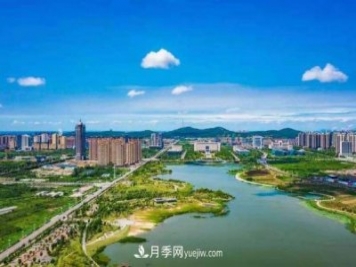 淮南市花、市樹是什么？是月季嗎？