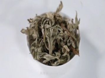 南陽艾草產(chǎn)業(yè)蓬勃發(fā)展的背后原因是為什么？