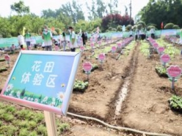 漯河城管園林科研所，邀請400余位市民花田體驗栽花