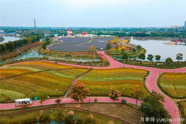 鹽城荷蘭花海，離荷蘭美麗的花卉很近(圖1)