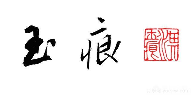 月季大藤本和小藤本都有哪些品種？栽種方式有沒有區(qū)別？(圖4)