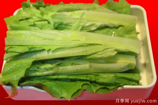 夏季蔬菜品種大全 夏季時令蔬菜大全(圖1)