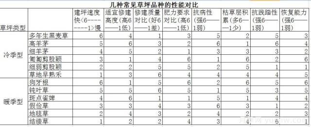 ***優(yōu)草坪品種分類和搭配運用(圖2)