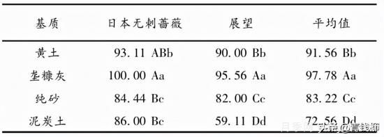 湖南湘中地區(qū)月季露地扦插試驗(yàn)(圖2)