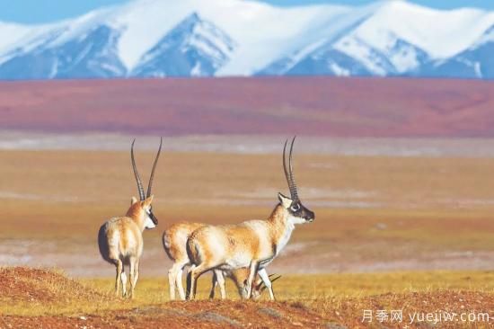 5個國家公園 5類別樣景觀(圖1)