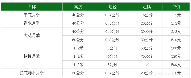 月季花多少錢一株？月季花的繁殖方法和養(yǎng)殖方法(圖1)