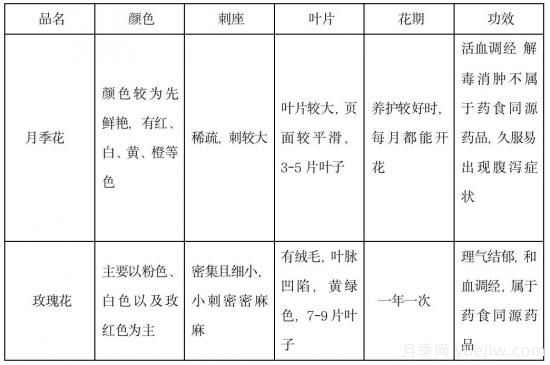 月季和玫瑰如何區(qū)分？圖解科普很詳細(xì)(圖14)