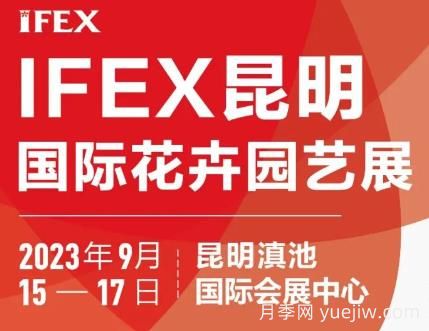 9月15日第二十一屆中國昆明國際花卉展舉辦(圖1)